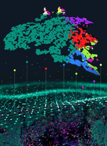 Precise Cell Annotation Services